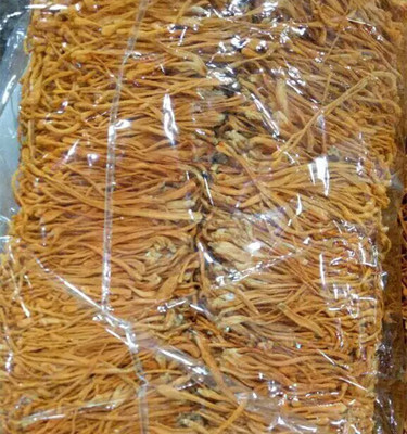 纯天然本色 无硫无染虫草花的品质与食用价值