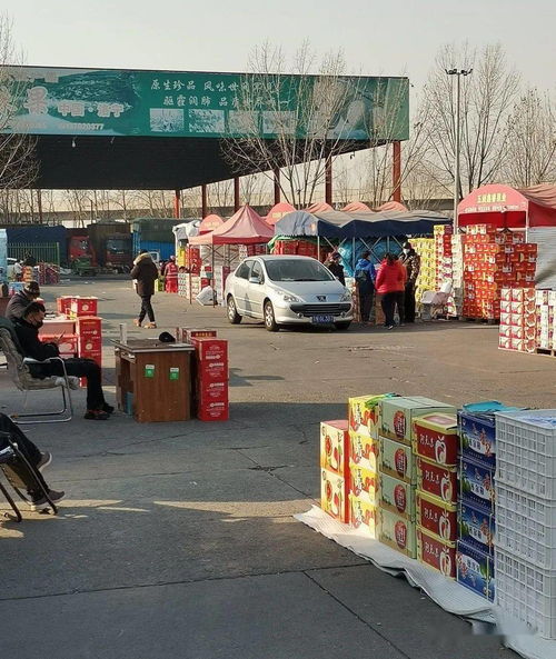 做水果生意，必须知道的5大水果一级批发市场与食用农产品初加工要点