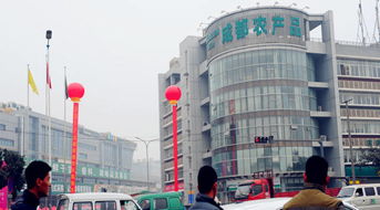 春节探市 走进成都海吉星农产品批发市场，感受食用农产品供应热潮