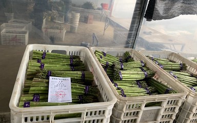 我县开出首批《食用农产品合格证》，食用农产品初加工迈入规范管理新阶段