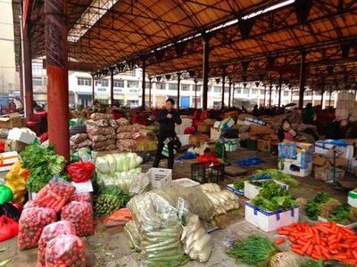 倒春寒再临风险与果农科学防冻指南
