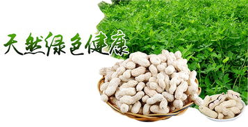 区块链溯源 揭开有机农产品的伪装术，重塑食用农产品批发新生态